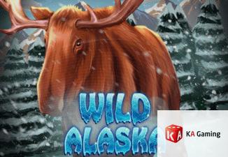 Wild Alaska