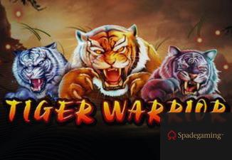 Tiger Warrior